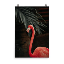 Pasca Flamingo Poster
