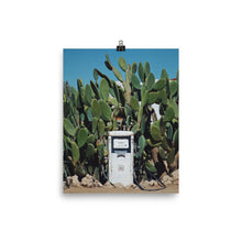 Caltex Cactus Poster