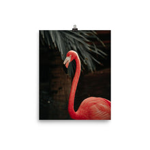 Pasca Flamingo Poster