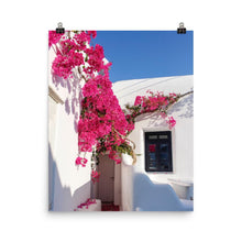 Santorini Flowers Poster