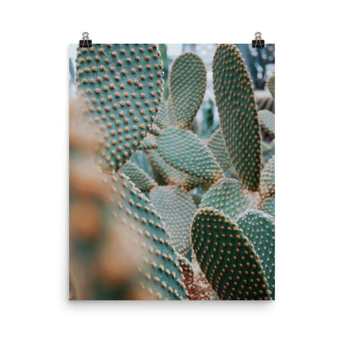 Cactus Focus Poster