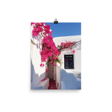 Santorini Flowers Poster